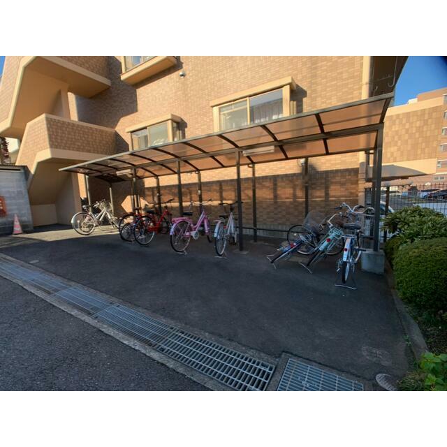 その他11
