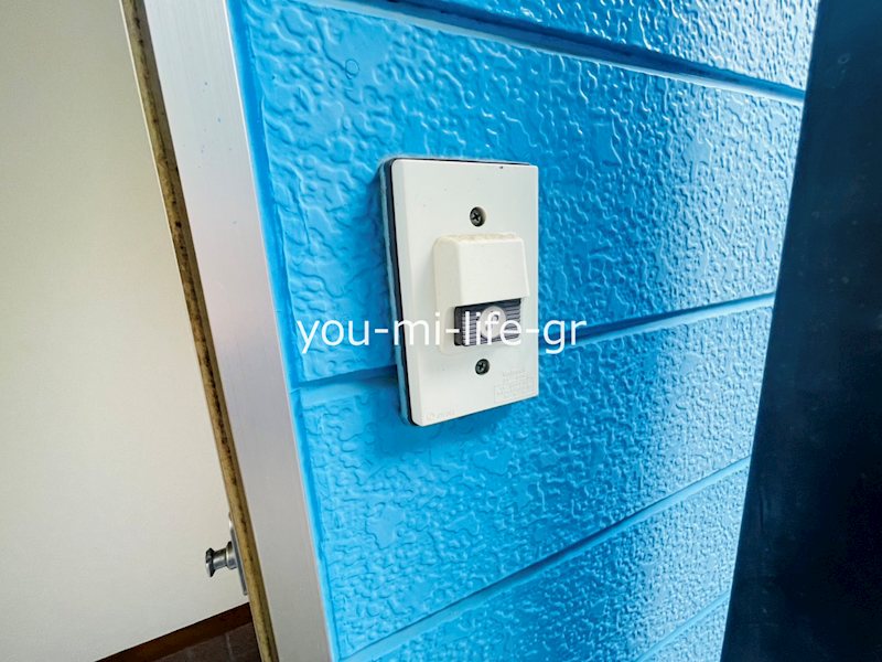 ブルーハイツシロタ その他3