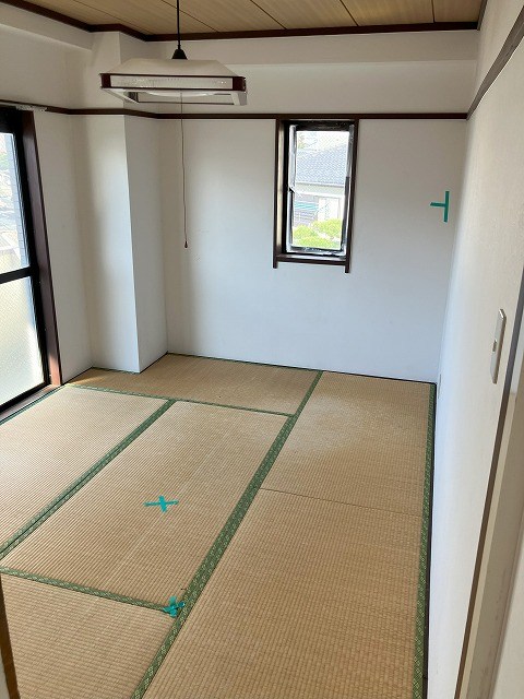 その他24