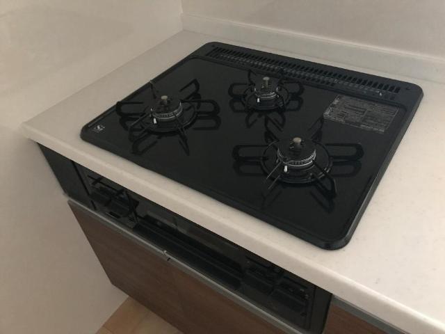 ウエイド　フルスⅡ その他10