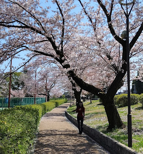 ドリーム 周辺画像7