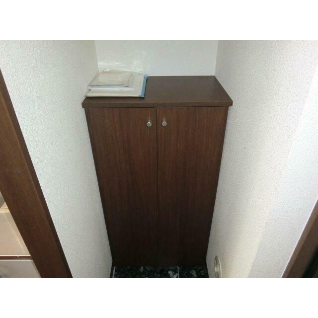 アネシスＫ その他1