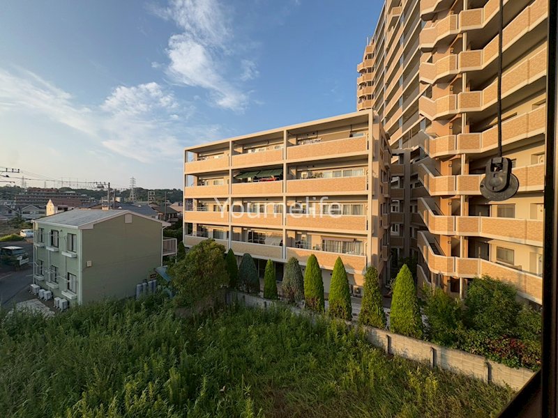 リベルテ・サンクーラ   その他1