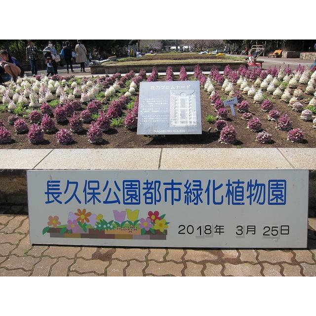 周辺画像2