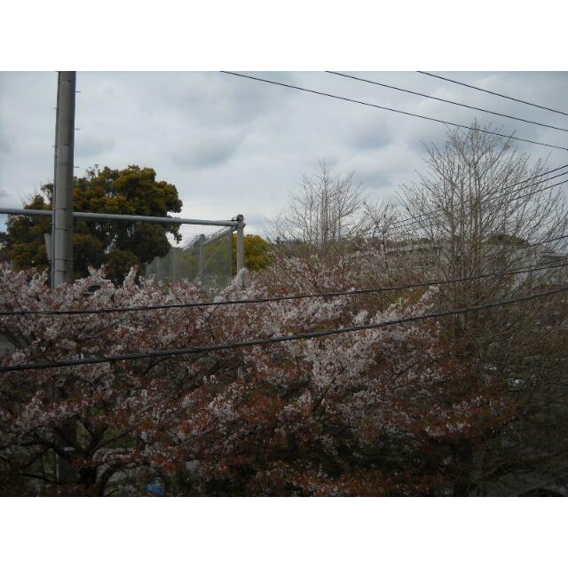 その他外観1