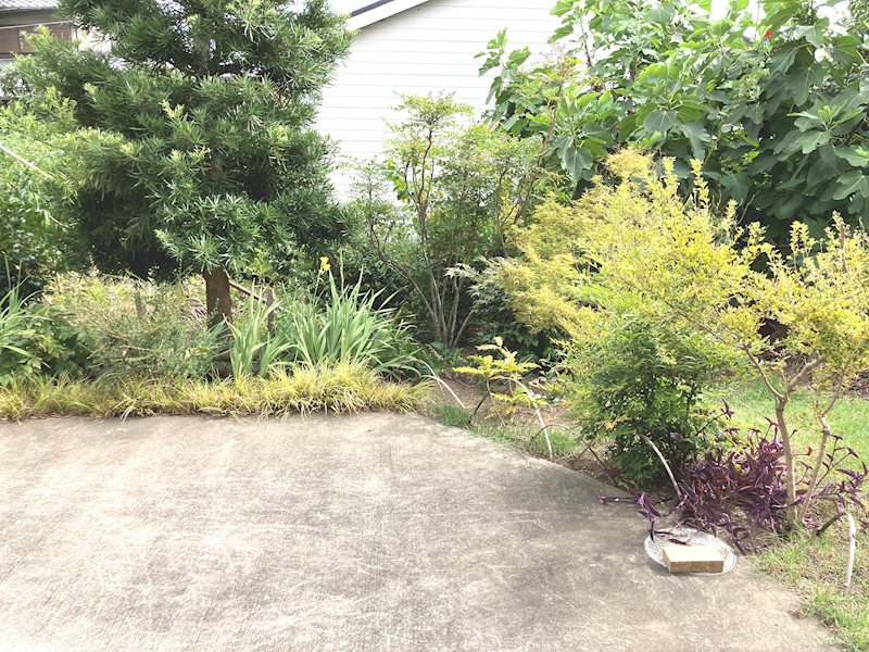 メゾン・ド・キキ その他1