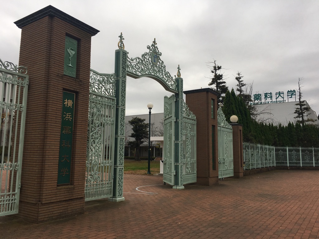 深谷町戸建 周辺画像6