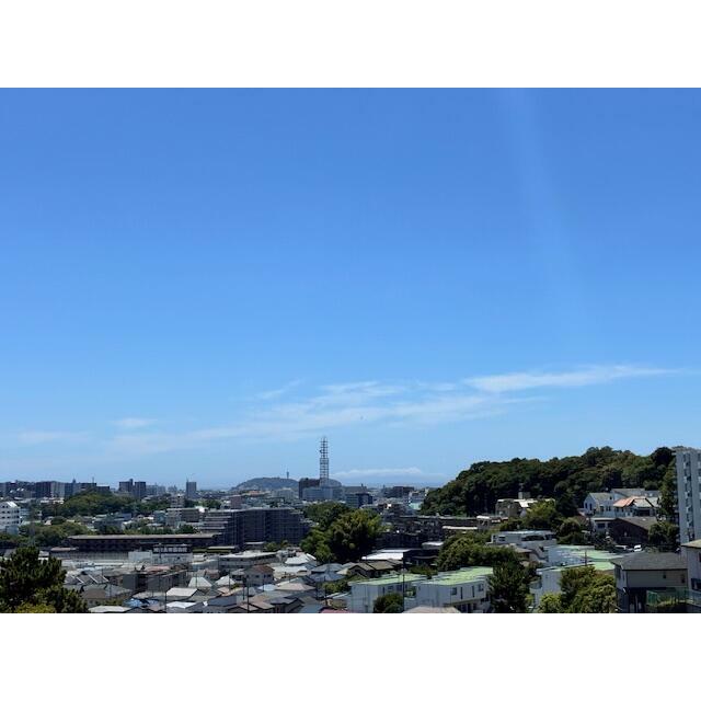 クリオ藤沢善行参番館 その他1
