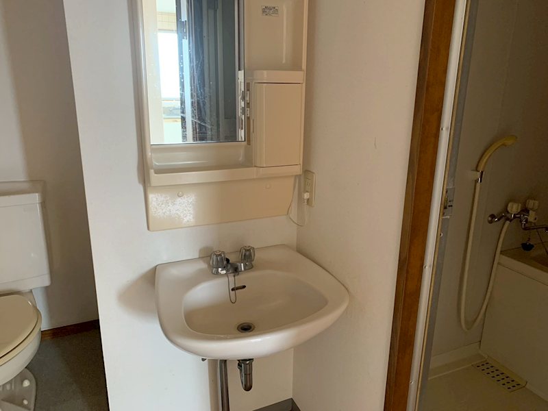 レイフローラルIV その他3