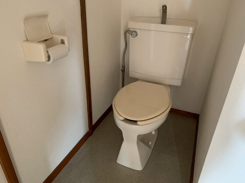 レイフローラルIV その他4