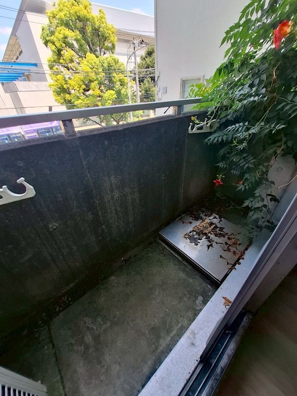望洋荘 ベランダ