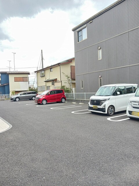 Ｌｕｐｉｎｕｓ その他3