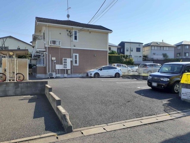 ボニート　ブローテ その他5