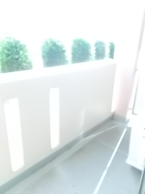 ＭＧＭ　ＢＬＤＧ．Ⅰ ベランダ