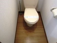 アンプルールフェールひまわり その他1