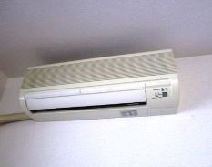 アンプルールフェールひまわり その他4