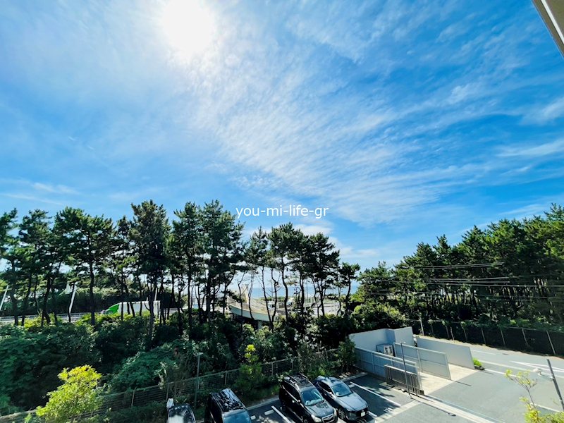 グレーシア湘南平塚海岸 その他5