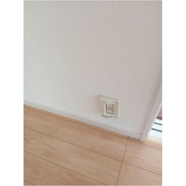 プレッピー その他1