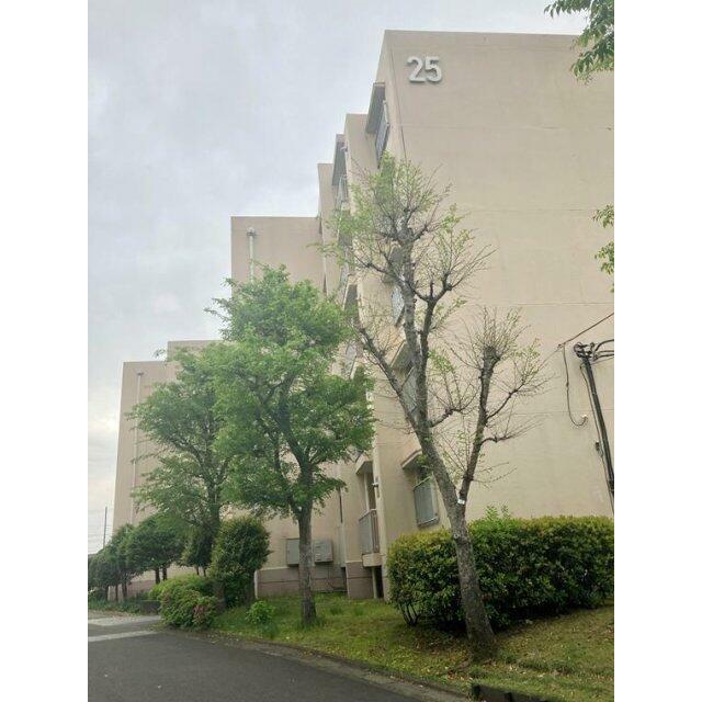 さつき住宅２５号棟 405号室 外観