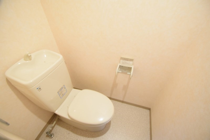 ガーネット その他1