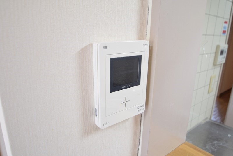 ガーネット その他6