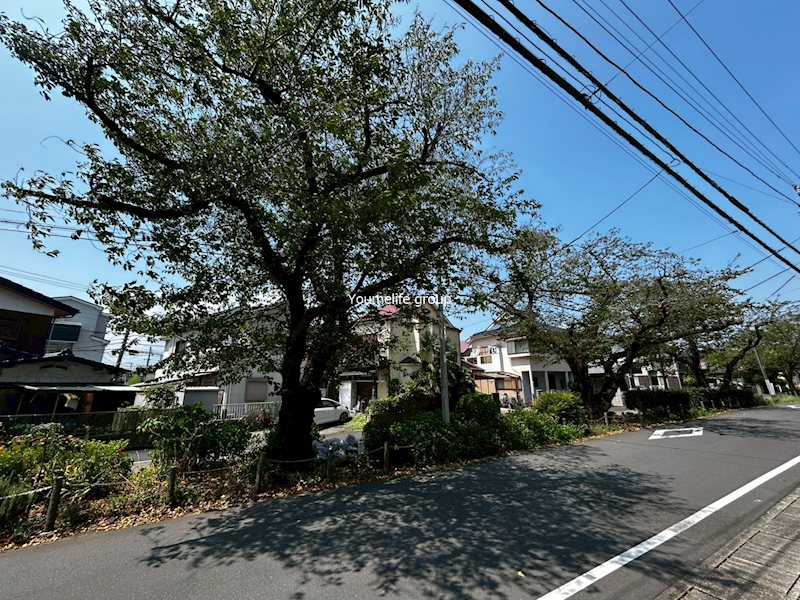 マーリエ　Ⅰ その他4