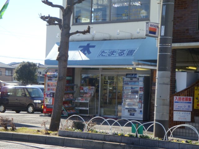 パーシモン その他17