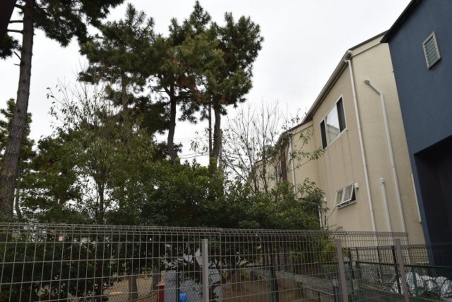 オークデンヴィラ その他5