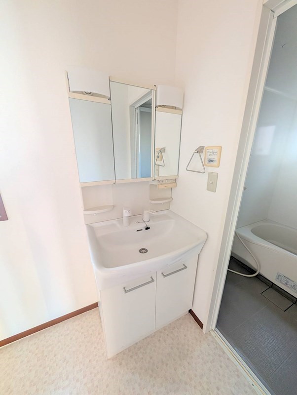 プロシードＫ その他2