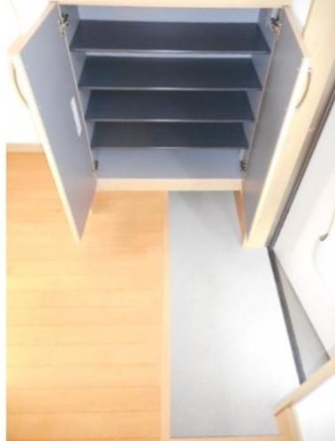 アクア・フォレスト 玄関