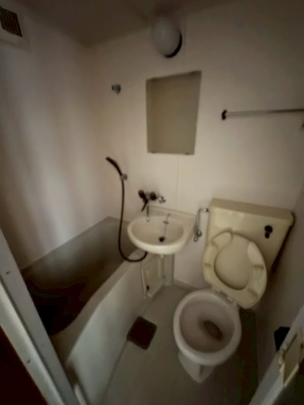 ヨーロピアン２５５番館 その他4