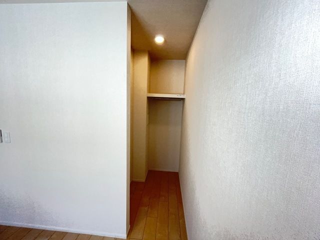 ディモーラ その他6