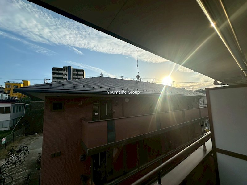 アブルームシマ その他2