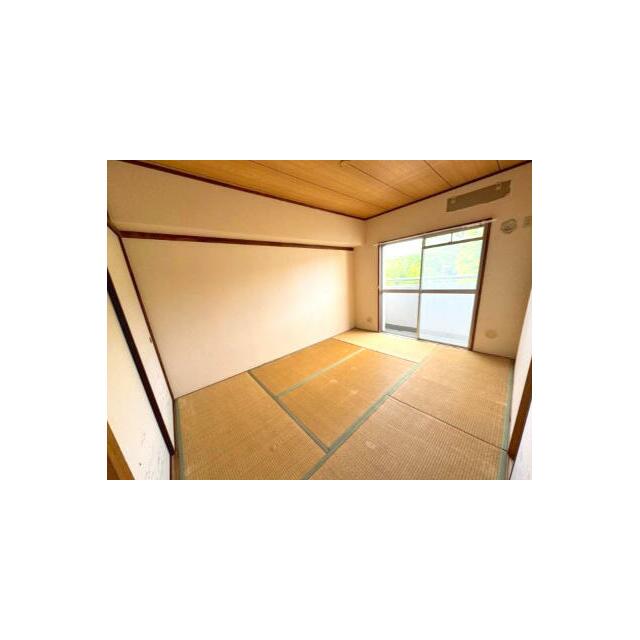 その他31