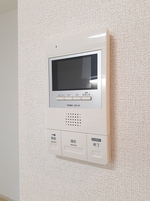ヴィシュランティ その他6