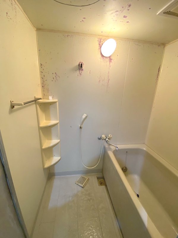 クエスタ・デル・ラモスⅠ 風呂画像