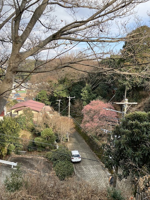 二宮町二宮貸家 眺望