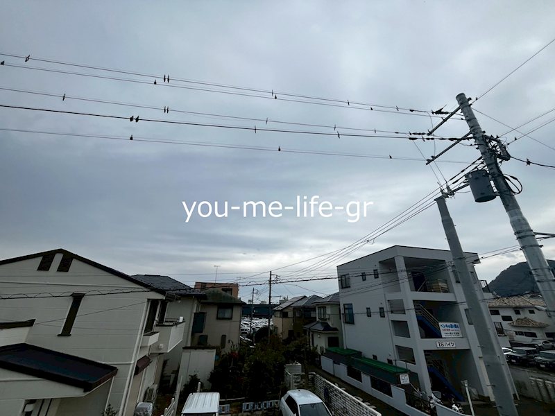 サンモール今井 その他14