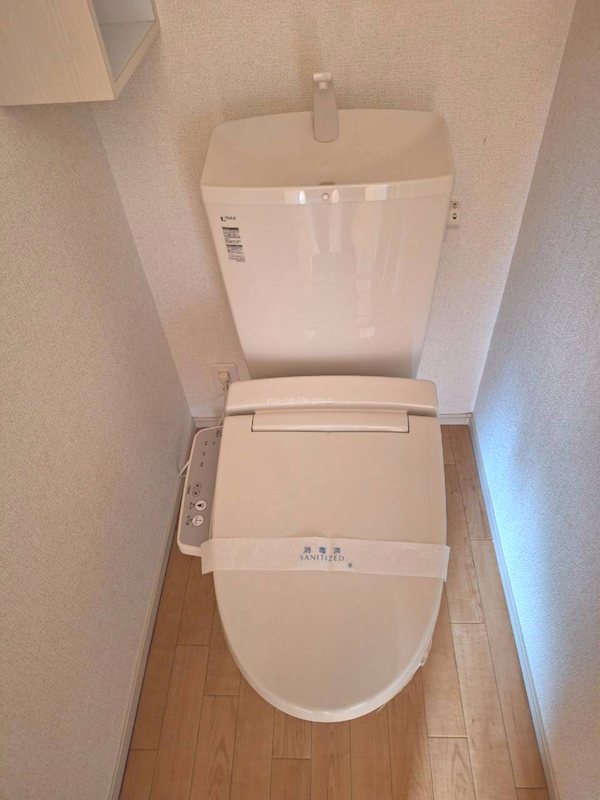 プリムローズ その他1