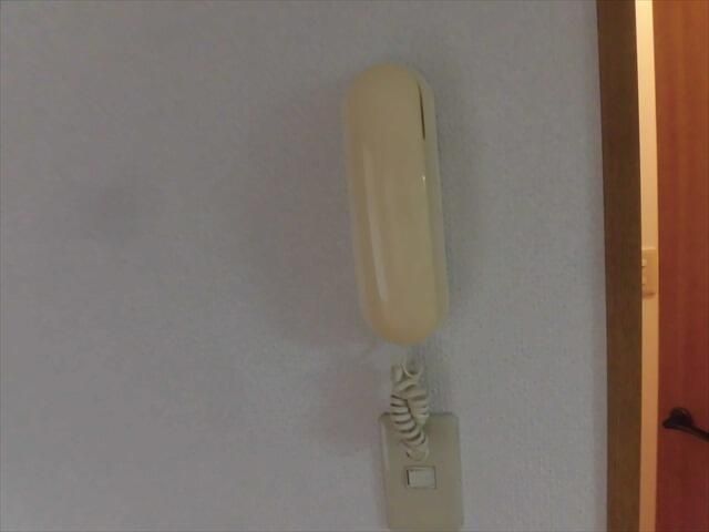 ラルジュ・アイ その他外観1