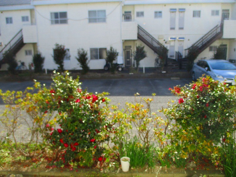 ロイヤルパレスＥＨＡＲＡ その他5