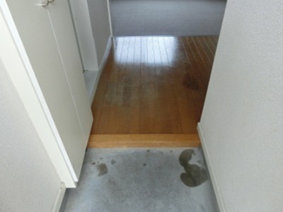 パレス三野 玄関