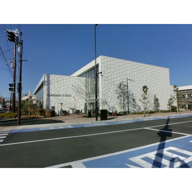 神奈川県藤沢市辻堂元町５丁目 ショッピング施設
