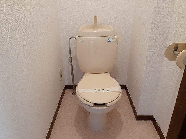メイデンハイム その他4