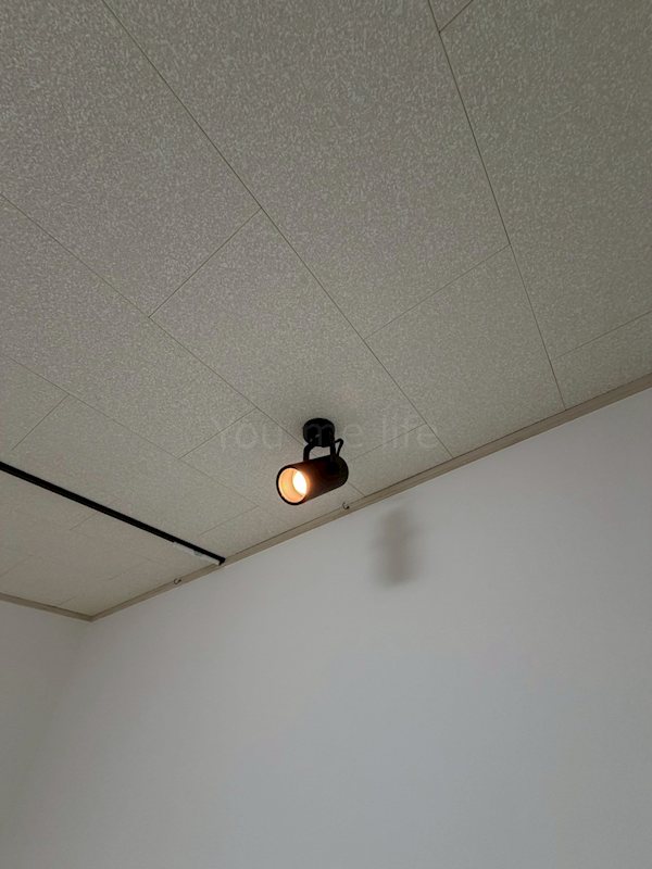 その他11