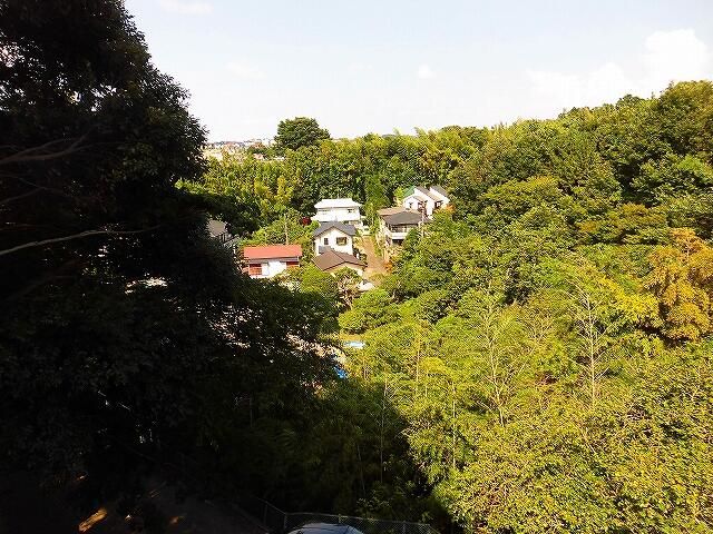 その他27