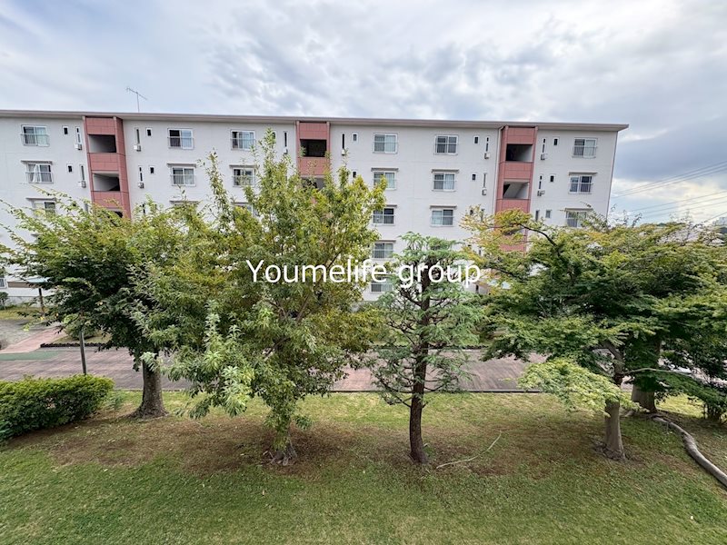 東高森団地11号棟 その他5