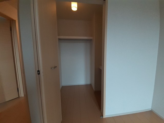 ルピナス その他2