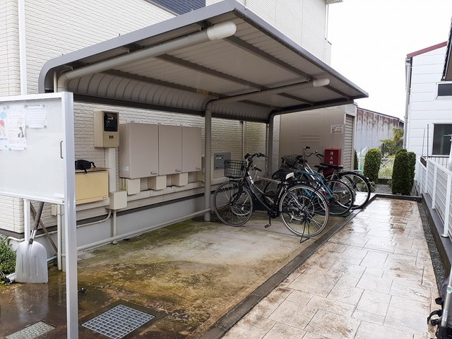 ルピナス その他5