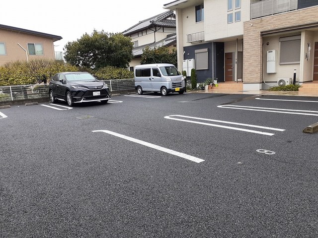 ルピナス その他7